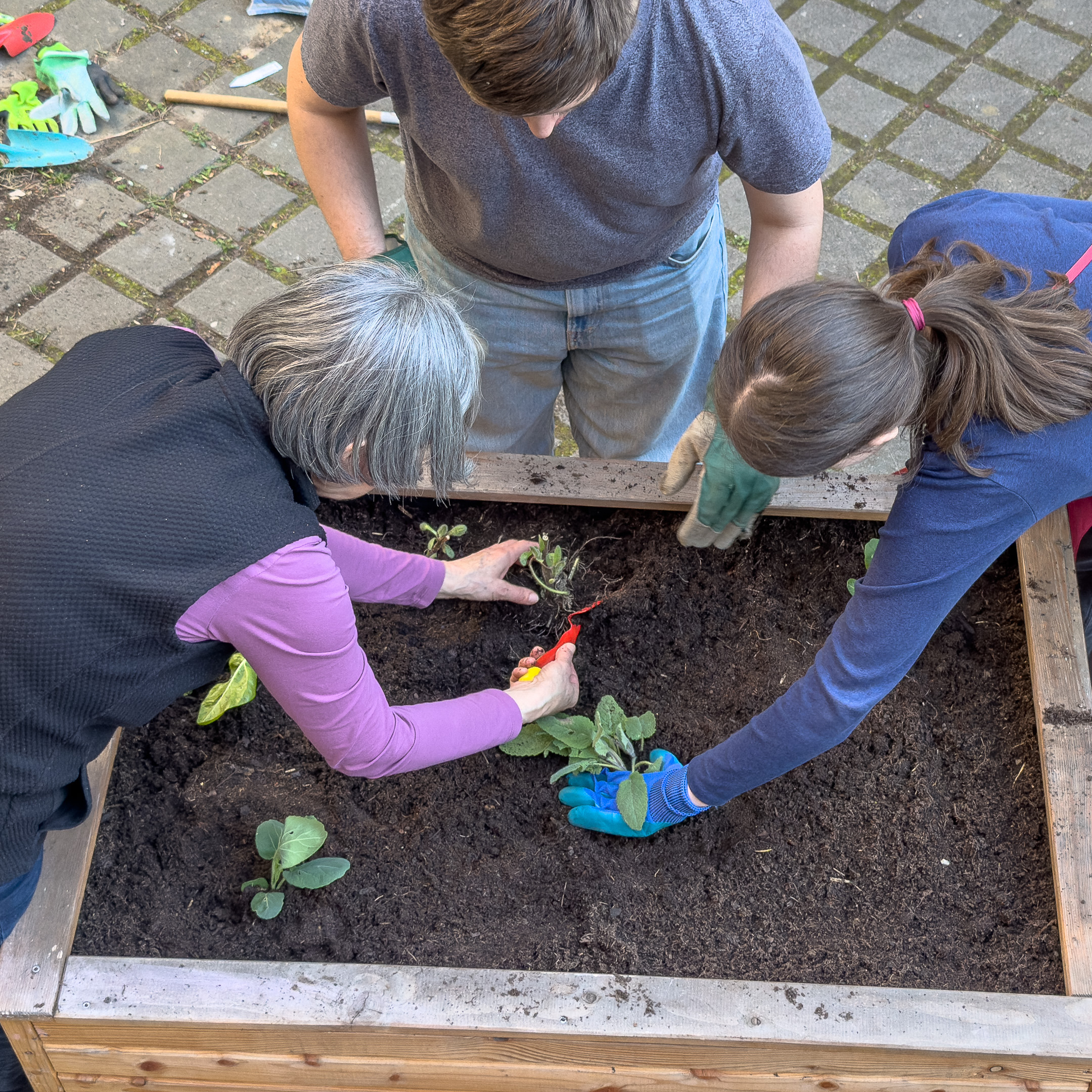 2024.09.25 13.59.43 uhd iphone 16 pro 