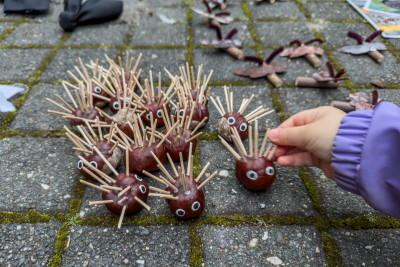 2025.10.11 18.22.11  2160p karsten gander iphone pro max 