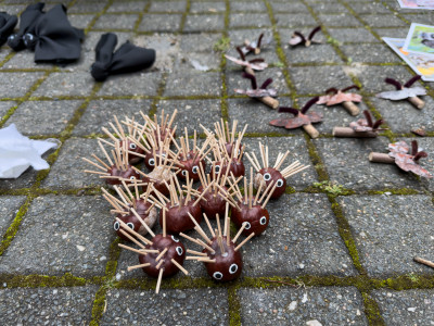 2025.10.11 18.22.15  2160p karsten gander iphone pro max 