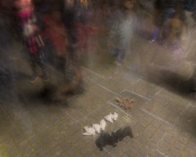 2025.10.11 20.07.54 p karsten gander  