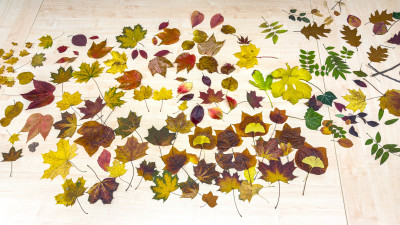 2025.10.315.58.39  iphone7 pro max uhd  karsten gander  