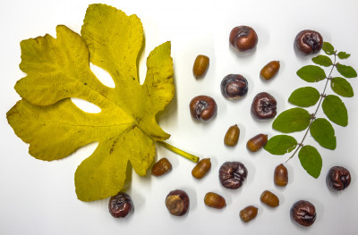 2025.10.31 16.11.03  iphone 17 pro max uhd  karsten gander   1