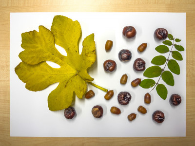 2025.10.316.11.03  iphone7 pro max uhd  karsten gander  