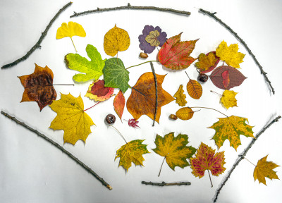 2025.10.31 16.17.12  iphone 17 pro max uhd  karsten gander   1