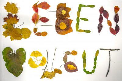 2025.10.316.25.13  iphone7 pro max uhd  karsten gander  