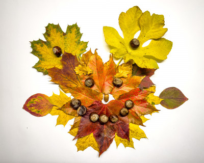 2025.10.316.28.26  iphone7 pro max uhd  karsten gander  