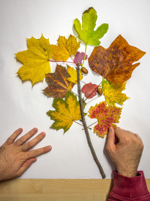 2025.10.316.35.33  iphone7 pro max uhd  karsten gander  