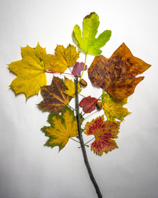 2025.10.316.35.59  iphone7 pro max uhd  karsten gander  