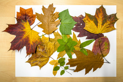 2025.10.316.36.20  iphone7 pro max uhd  karsten gander  