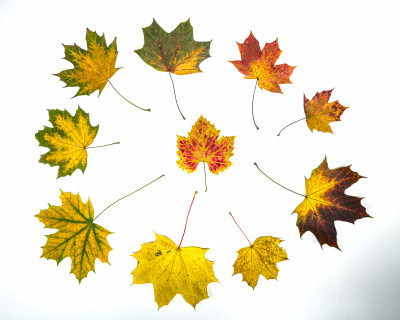 2025.10.31 16.41.52  iphone 17 pro max uhd  karsten gander   1