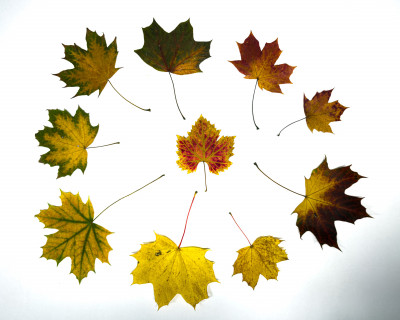 2025.10.316.41.52  iphone7 pro max uhd  karsten gander  