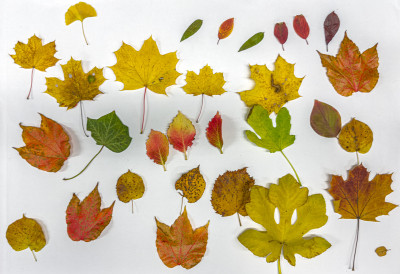 2025.10.31 16.49.00  iphone 17 pro max uhd  karsten gander   1