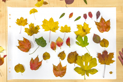 2025.10.316.49.00  iphone7 pro max uhd  karsten gander  