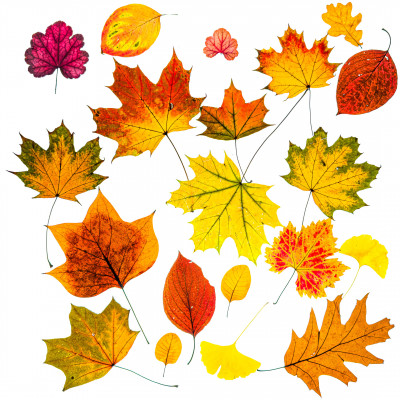 2025.10.317.00.52  iphone7 pro max uhd  karsten gander  