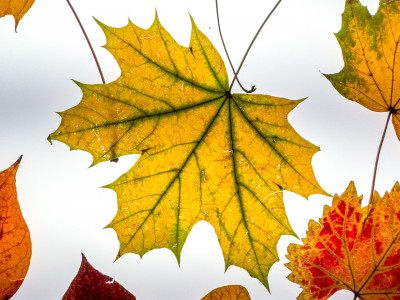 2025.10.317.01.36  iphone7 pro max uhd  karsten gander  