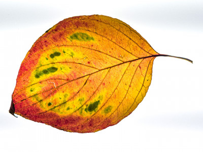 2025.10.317.02.01  iphone7 pro max uhd  karsten gander  