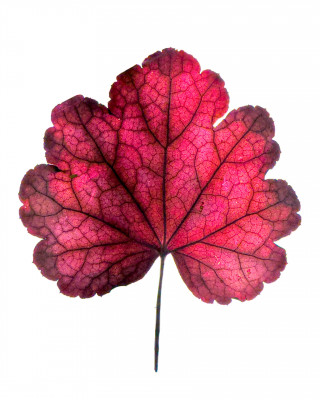 2025.10.317.02.20  iphone7 pro max uhd  karsten gander  