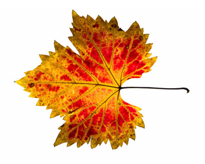 2025.10.317.02.49  iphone7 pro max uhd  karsten gander  