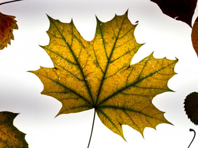 2025.10.317.06.05  iphone7 pro max uhd  karsten gander  