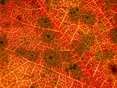 2025.10.317.07.41  iphone7 pro max uhd  karsten gander  