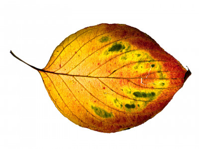 2025.10.317.08.54  iphone7 pro max uhd  karsten gander  