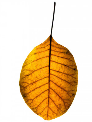 2025.10.317.11.04  iphone7 pro max uhd  karsten gander  