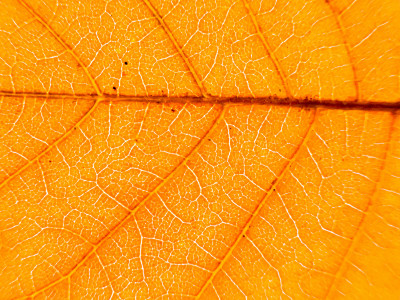 2025.10.317.11.25  iphone7 pro max uhd  karsten gander  