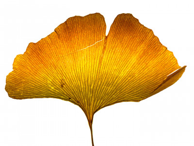 2025.10.317.12.44  iphone7 pro max uhd  karsten gander  