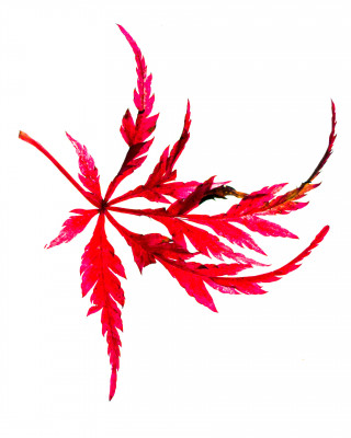 2025.10.317.13.27  iphone7 pro max uhd  karsten gander  