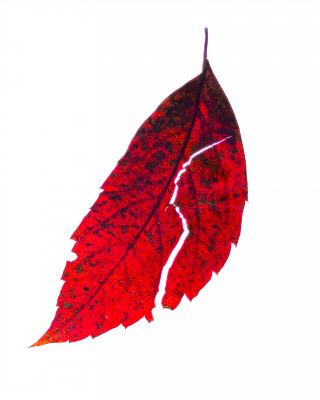 2025.10.317.14.56  iphone7 pro max uhd  karsten gander  