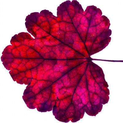 2025.10.317.15.22  iphone7 pro max uhd  karsten gander  