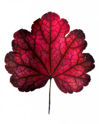 2025.10.317.15.43  iphone7 pro max uhd  karsten gander  