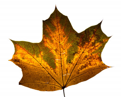 2025.10.317.16.35  iphone7 pro max uhd  karsten gander  