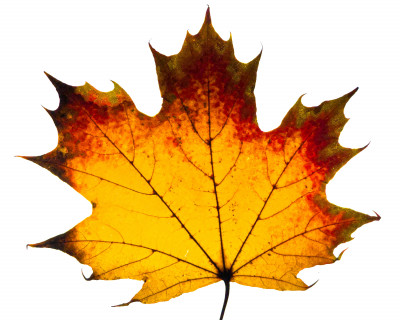 2025.10.317.17.06  iphone7 pro max uhd  karsten gander  