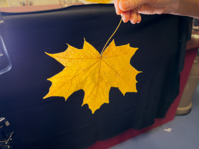 2025.11.146.32.09  iphone7 pro max uhd  karsten gander  