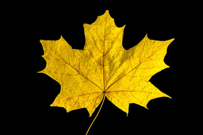 2025.11.146.36.00  iphone7 pro max uhd  karsten gander  