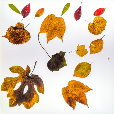 2025.11.146.38.58  iphone7 pro max uhd  karsten gander  