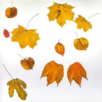 2025.11.146.40.18  iphone7 pro max uhd  karsten gander  