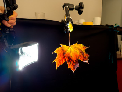 2025.11.146.47.33  iphone7 pro max uhd  karsten gander  