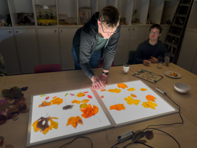 2025.11.146.48.17  iphone7 pro max uhd  karsten gander  