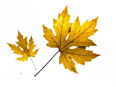 2025.11.146.49.11  iphone7 pro max uhd  karsten gander  