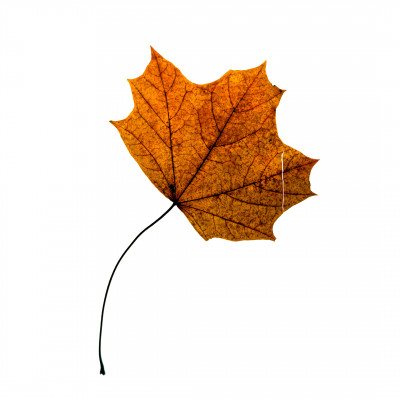 2025.11.146.57.43  iphone7 pro max uhd  karsten gander  