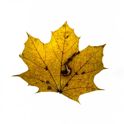 2025.11.146.57.54  iphone7 pro max uhd  karsten gander  