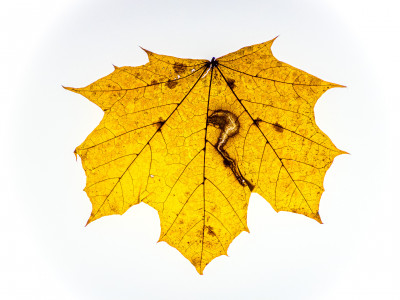 2025.11.146.58.28  iphone7 pro max uhd  karsten gander  