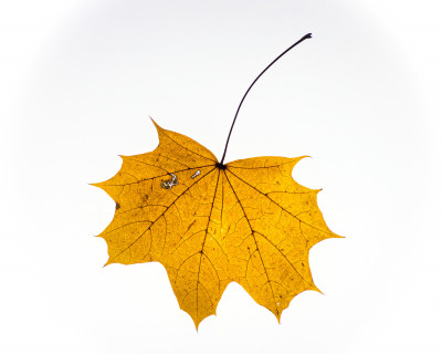 2025.11.146.58.53  iphone7 pro max uhd  karsten gander  