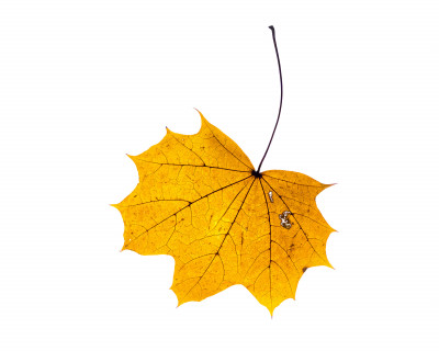 2025.11.146.59.01  iphone7 pro max uhd  karsten gander  