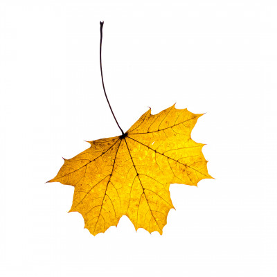 2025.11.146.59.17  iphone7 pro max uhd  karsten gander  