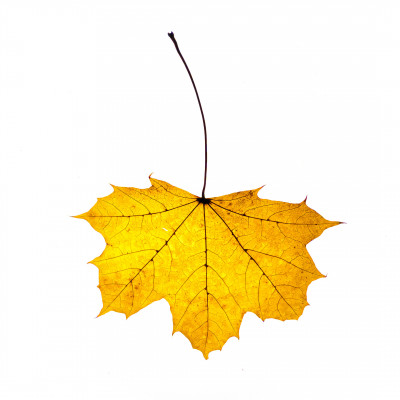 2025.11.146.59.28  iphone7 pro max uhd  karsten gander  