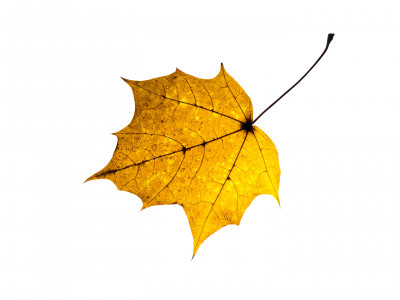 2025.11.146.59.44  iphone7 pro max uhd  karsten gander  