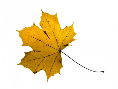 2025.11.147.01.00  iphone7 pro max uhd  karsten gander  